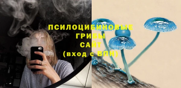 индика Бронницы