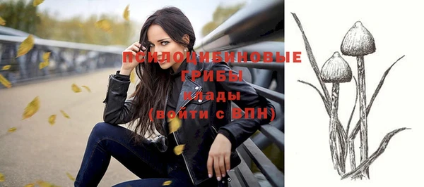 индика Бронницы