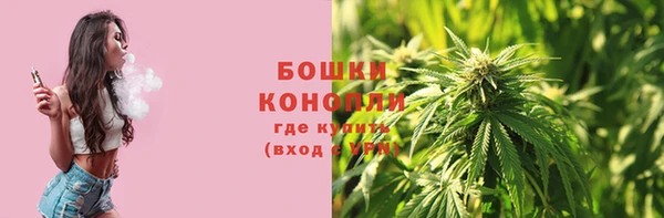 бошки Володарск