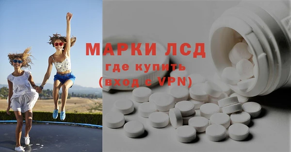 индика Бронницы