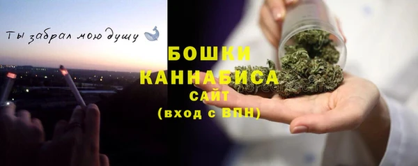 индика Бронницы