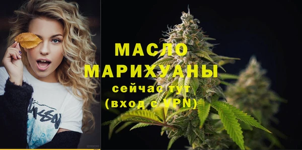 индика Бронницы