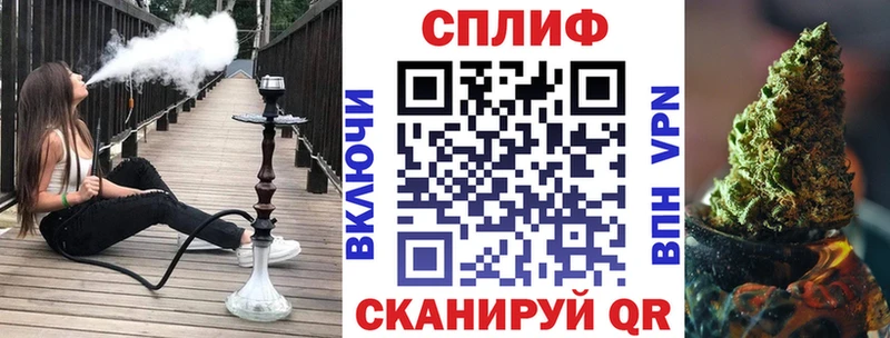 где можно купить   Ельня  ОМГ ОМГ вход  Канабис сатива 